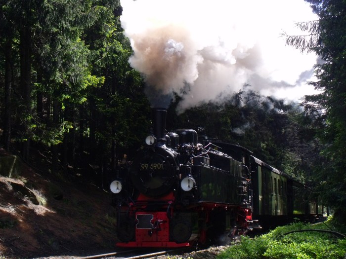 99 5901 mit Traditionszug 8991 zum Brocken, dieses Mal an einem Mittwoch aufgenommen und fotografiert, nämlich etwa 1 km hinter Schierke um 12:36h am 14.05.2014