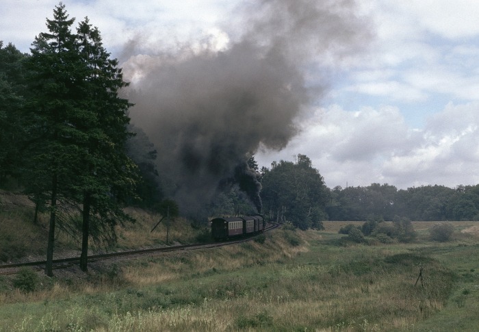 99 6001 mit P 14074 nach Harzgerode, am Bahnübergang der Fernstraße F242 (später natürlich B242...) zwischen Alexisbad und Harzgerode, um 14:12h am 29.08.1989