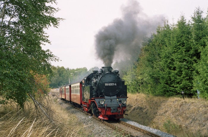 99 6001 mit Sonderzug aus Gernrode zum Brocken, Ausfahrt Stiege, am 06.09.2003