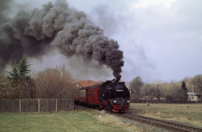 99 6001 mit Zug 8963 hinter Gernrode in der Steigung, am 26.03.2005