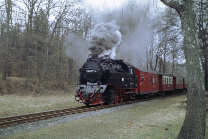 99 6001 mit Zug 8965 Durchfahrt Hp Sternhaus-Haferfeld, am 26.03.2005