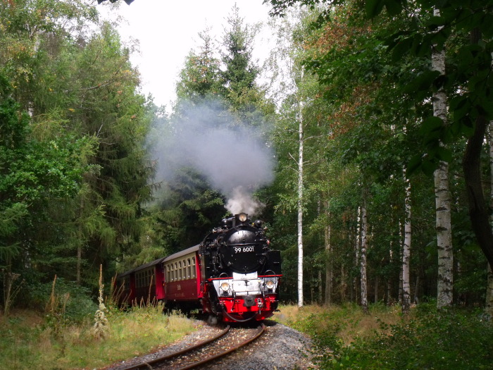 99 6001 mit Zug 8965 Richtung Hasselfelde, direkt vor dem Haltepunkt Sternhaus-Haferfeld, um 14:15h am 08.09.2019