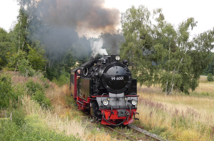 99 6001 mit 8967 (→Hasselfelde) hinter Sternhaus-Haferfeld, um 14:36h am 25.07.2021