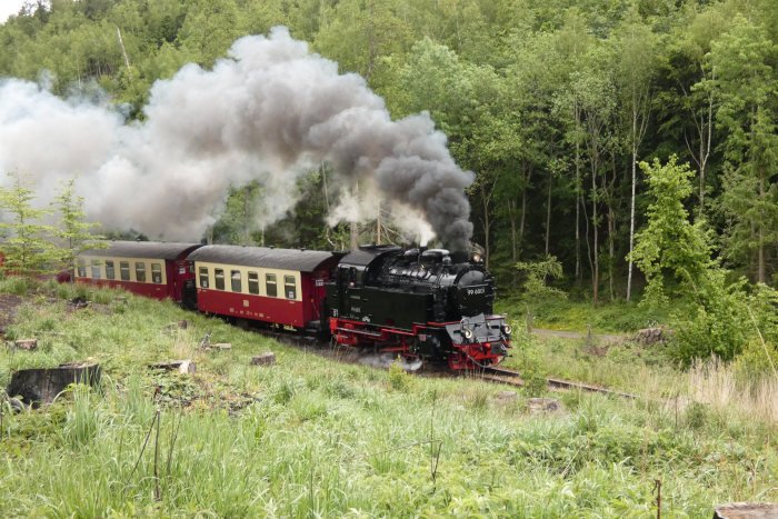 99 6001 mit 9866 (→Hasselefelde) an einem frisch abgeholzten Waldfeld im Wellbach-Tal zwischen Heiligen-Teich und Hp Haferfeld, um 14:26h am 29.05.2022