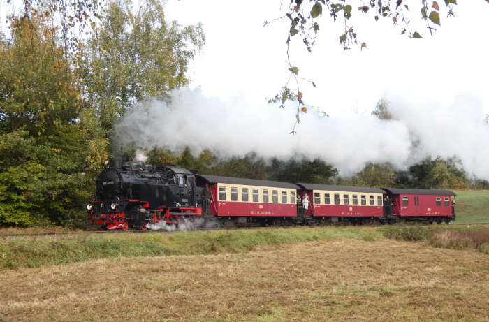 99 6001  mit 8963 Richtung Alexisbad hinter dem Haltepunkt Sternhaus-Haferfeld, um 11:09h am 25.10.2023