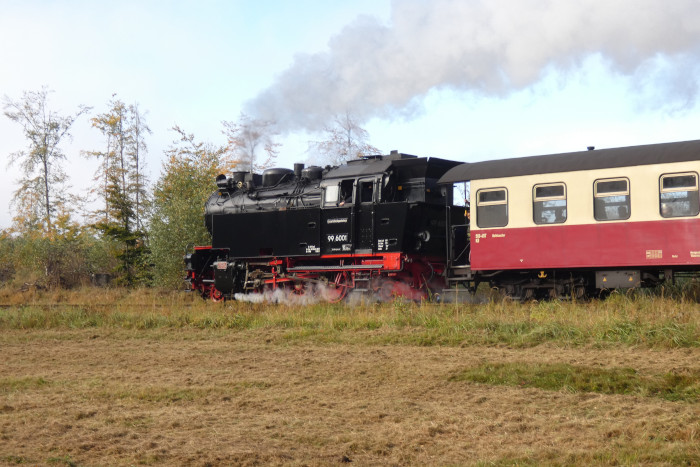 99 6001  mit 8963 Richtung Alexisbad hinter dem Haltepunkt Sternhaus-Haferfeld, um 11:09h am 25.10.2023