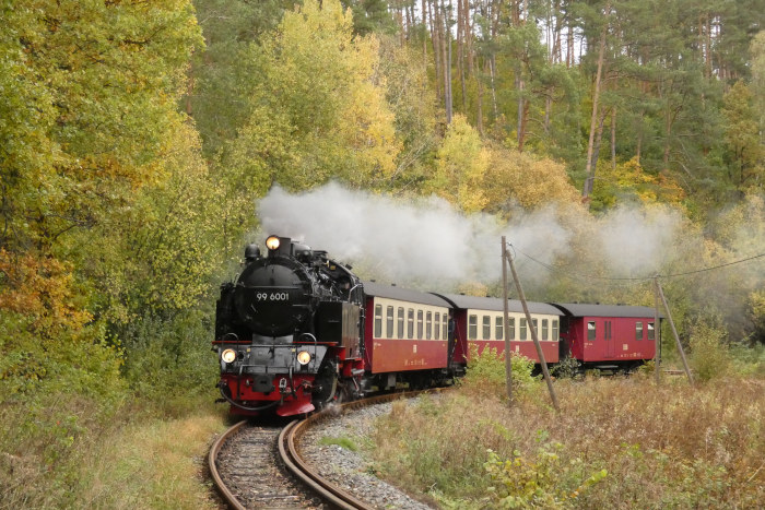 99 6001  mit 8967 Richtung Eisfelder Talmühle, hinter Straßberg in den Kurven an der „alten Fluor“, um 16:15h am 25.10.2023