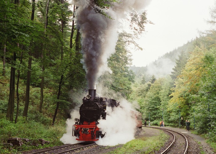 99 6101 mit Planzug 8903 in Steinerne Renne, 01.10.1995