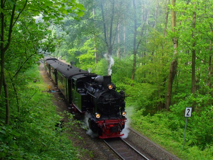 99 6101 mit dem aus Traditionswagen gebildeten Sonderzug von Wernigerode zum Brocken, fotografiert und synchron akustisch aufgenommen an der Ausfahrt von Steinerne Renne, um 10:17h, am 17.05.2014