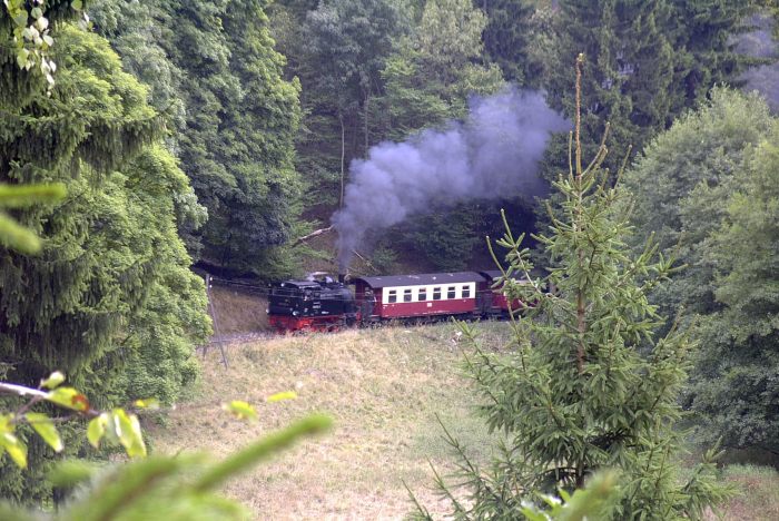 99 6102 Tv mit 8954 am unteren Ramberg unterhalb am Berg mit der Heinrichsburgruine, am 06.09.2003