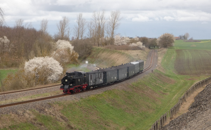 Lok 11  mit Infozug zurück →Benndorf in der Senke der MBB-Strecke nahe der Niewandtschachthalde, fotografiert von weiter oben auf der Halde stehend, um 13:07h am 01.04.2023