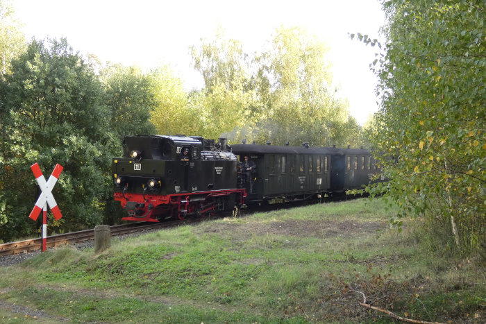 Lok 11 Tv mit Regelzug von Benndorf kommend, im Lindenholz oberhalb von Hettstedt-Kupferkammerhütte, um 15:21h am 07.10.2023