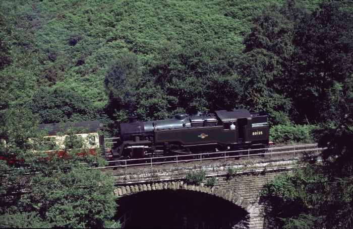 80135 Tv bei Water Ark auf dem zweiten Steinbogenviadukt, 29.07.2001