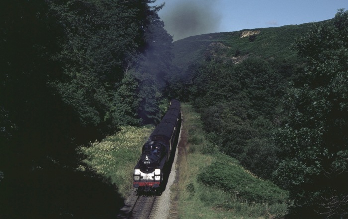 75014 im Eller Beck-Tal vor Darnholm, 30.07.2001