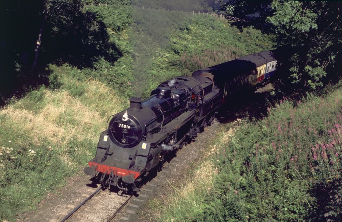 75024 direkt vor der Straßenbrücke im Einschnitt bei Beck Hole, 30.07.2001