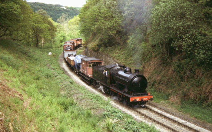 2392 mit show-Güterzug bei Beck Hole, 15.05.2004