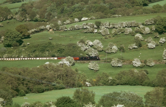 45212 am Hang unterhalb von Green End um 16:55h am 18.05.2004