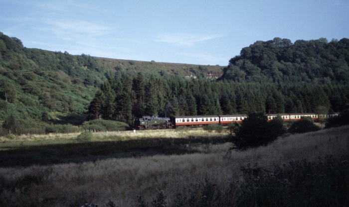 80135 Tv mit Zug ->Grosmont, im Tal Newton Dale, 30.08.2005