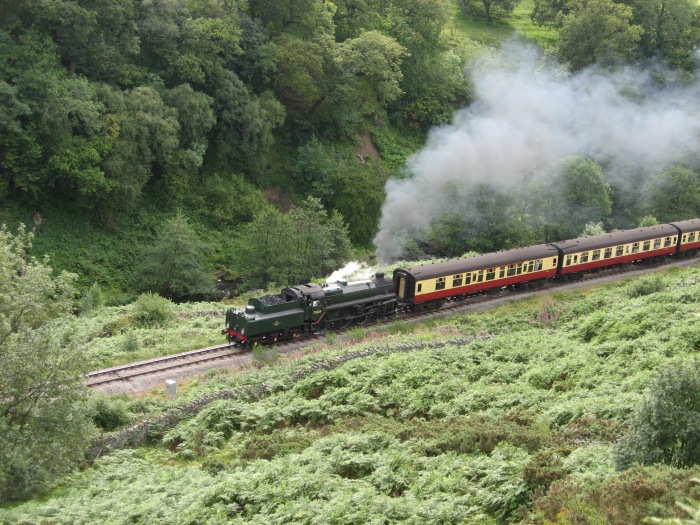 75029 Tv mit Zug Whitby→Pickering, bei Water Ark, um 14:41h am 15.08.2008