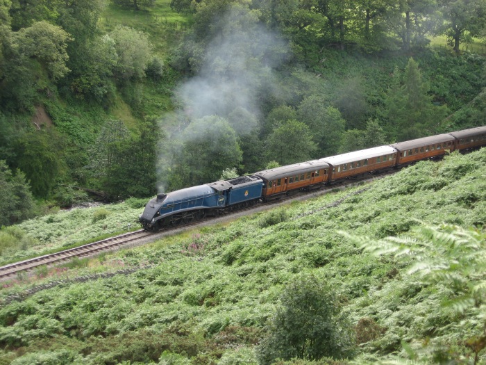 60007 mit dem schicken, nunmehr seit einigen Jahren fast kompletten, alten LNER- Teakholz-Zug ebenfalls bei Water Ark, um 15:42h am 15.08.2008