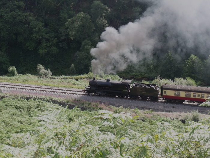 53809 bei Water Ark, um 13:55h am 31.08.2010