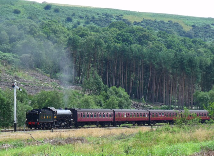 1264 Tv mit Zug von Pickering nach Whitby, nördlich der Ausfahrt von Levisham, um 12:14h am 04.08.2019