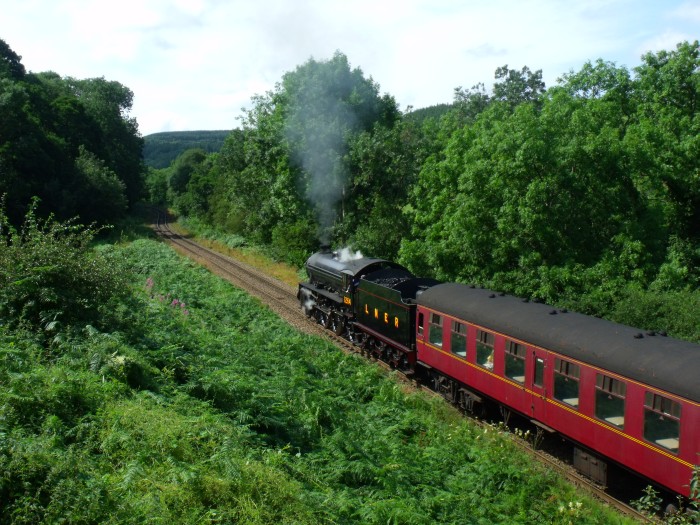 1264 an der 2.Feldwegbrücke bei Green End, um 11:36h am 05.08.2019
