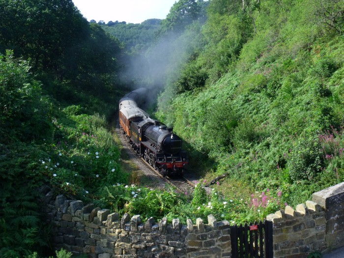 1264 (Thompson B1) mit dem LNER-Teakholzwagen-Zug Richtung Pickering in der Kurve im Einschnitt vor der Straßenbrücke bei Beck Hole, um 16:39h am 05.08.2019