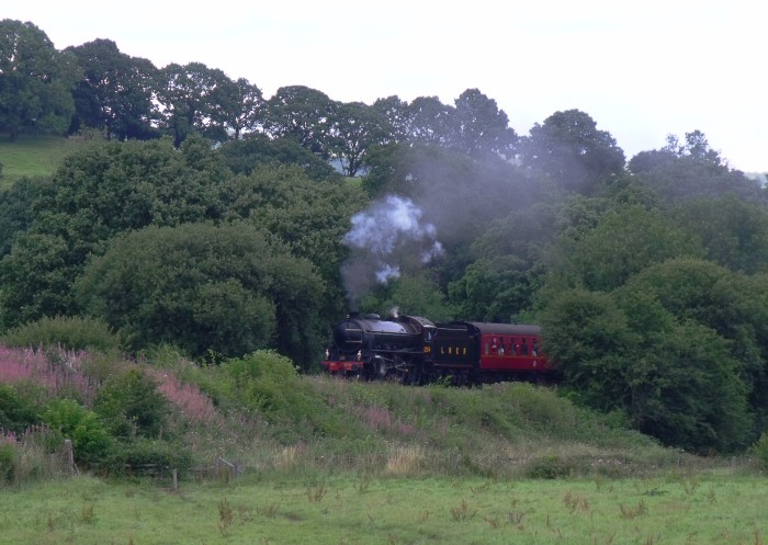 1264 mit Zug nach Pickering, fotografiert an der großen Wiese zwischen den sheds und den Esk Valley Cottages, um 13:49h am 06.08.2019