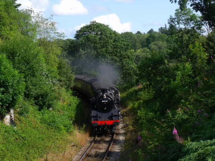 80136 vorwärts und abwärts fahrend Richtung Grosmont im Einschnitt oberhalb der Straßenbrücke bei Beck Hole, um 16:00h am 07.08.2019