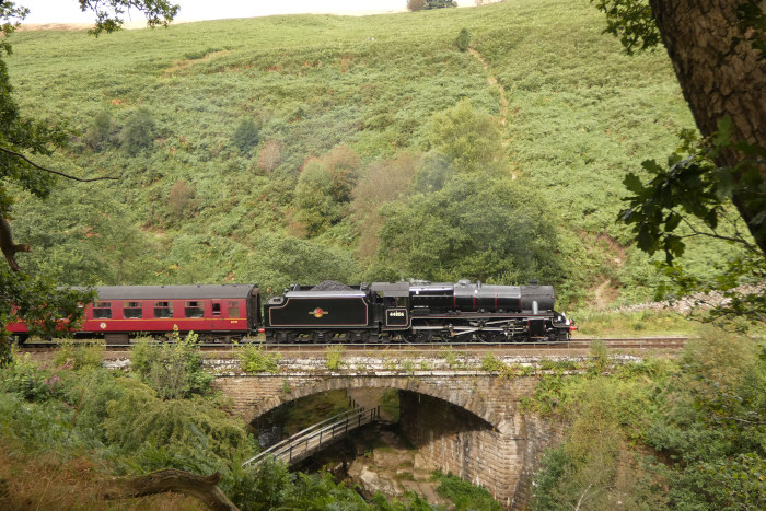 44806 mit Zug Whitby→Pickering bei Thomason Foss / Water Ark, um 13:39h am 28.08.2024