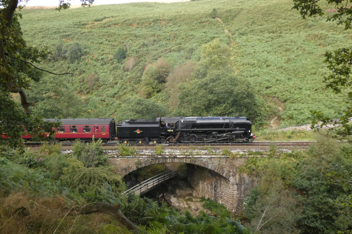 92134 mit Zug Whitby→Pickering bei Thomason Foss /Water Ark, um 14:56h am 29.08.2024